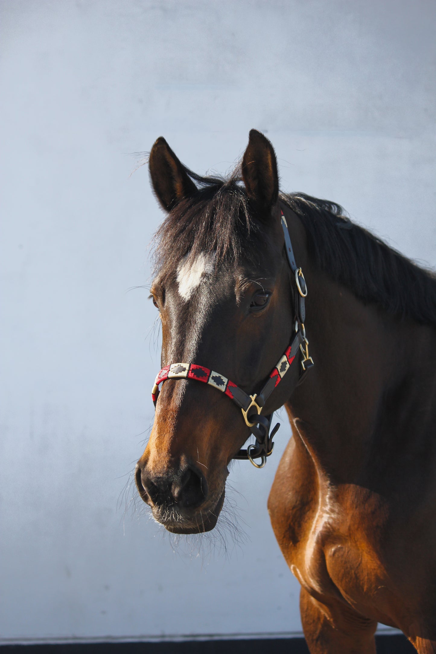 Red & Gold Halter