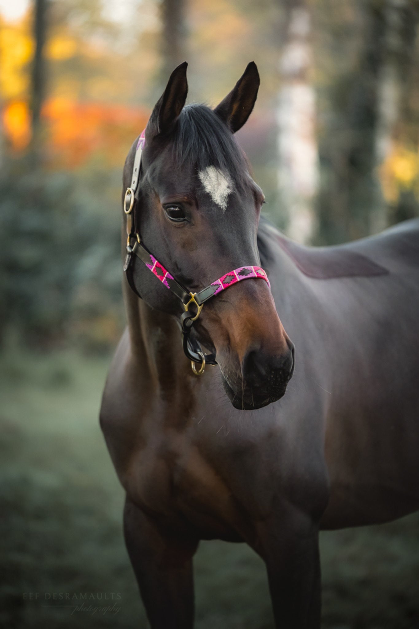 Pink & Purple Halter