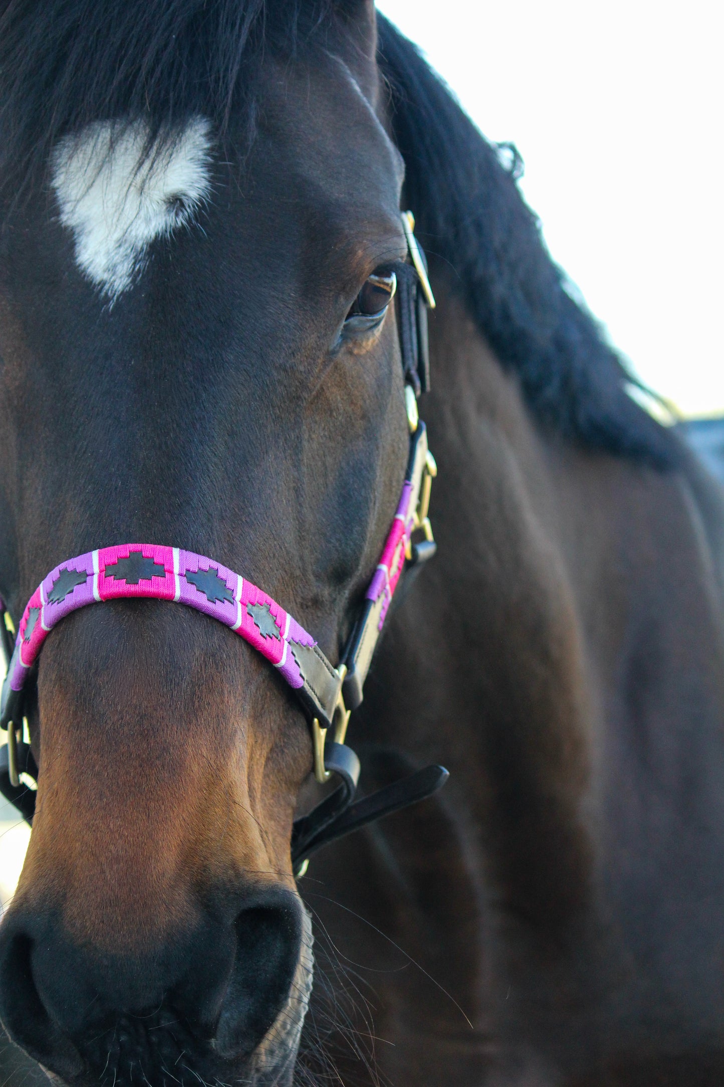 Pink & Purple Halter