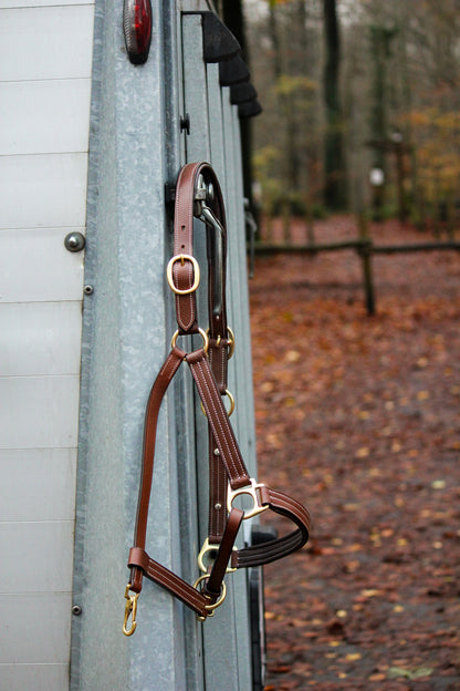 Classic brown halter