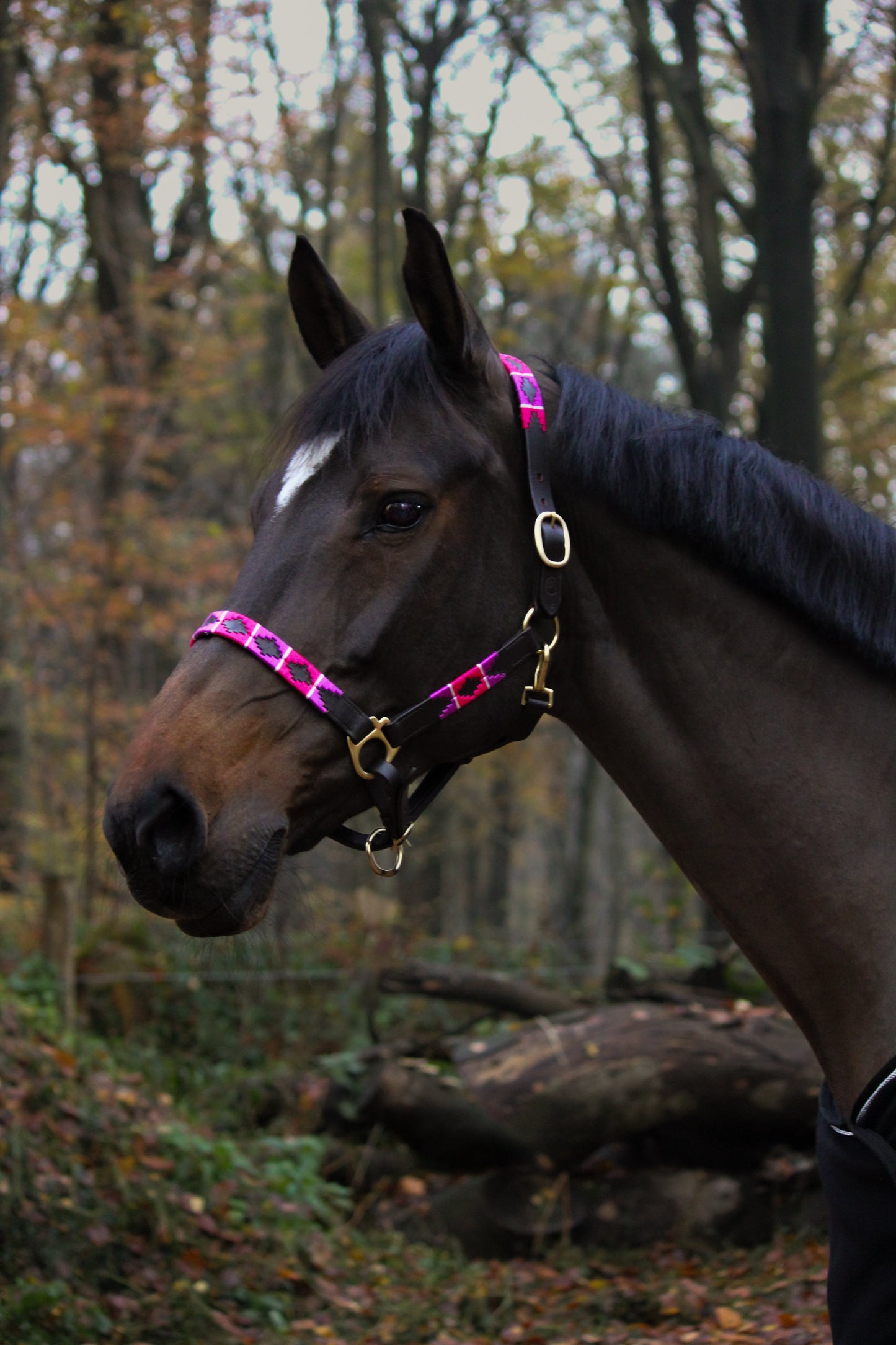 Pink & Purple Halter