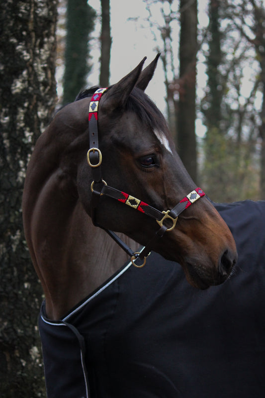 Red & Gold Halter